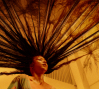 Exte: Hair Extensions, image couresty Media Blasters