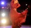  Nelida Tirado, photography by Jack Hartin, courtesy of New World Flamenco Festival, 