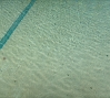  Emre Hűner, Study for Untitled, 2011, image courtesy of Emre Huner and RODEO