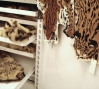Two Ocelots : Two Ocelots at right, knitted yarn, 2009 & 2010 