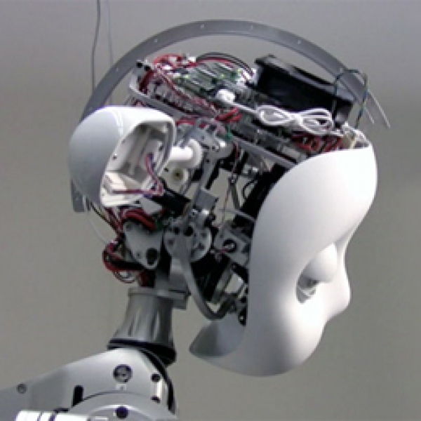 Simon Humanoid Robot, 2009