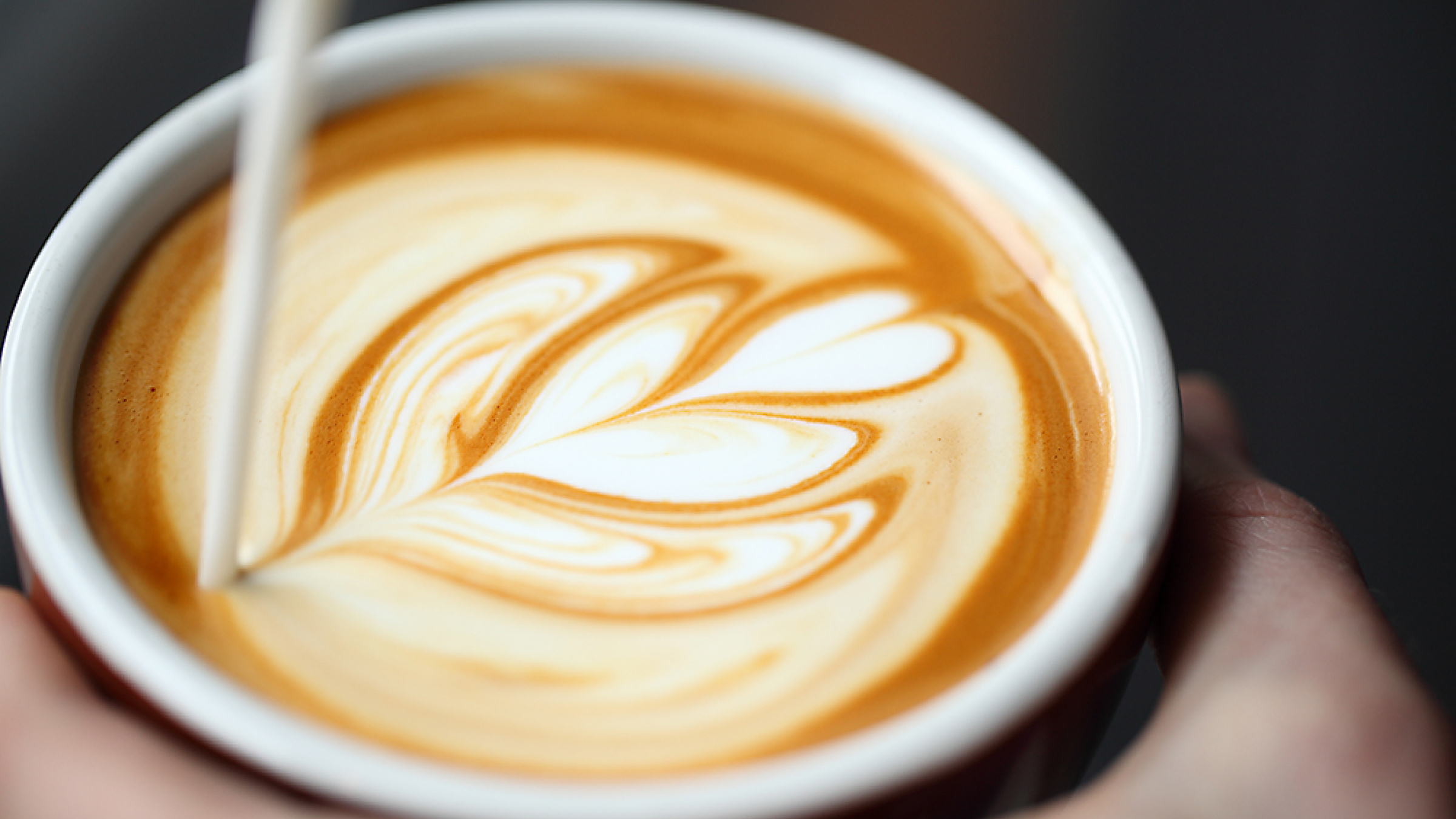 Blue Bottle Coffee, Berry Street, Brooklyn, NY