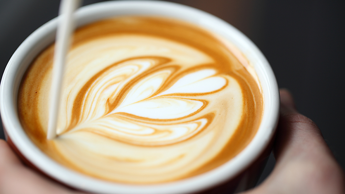 Blue Bottle Coffee, Berry Street, Brooklyn, NY