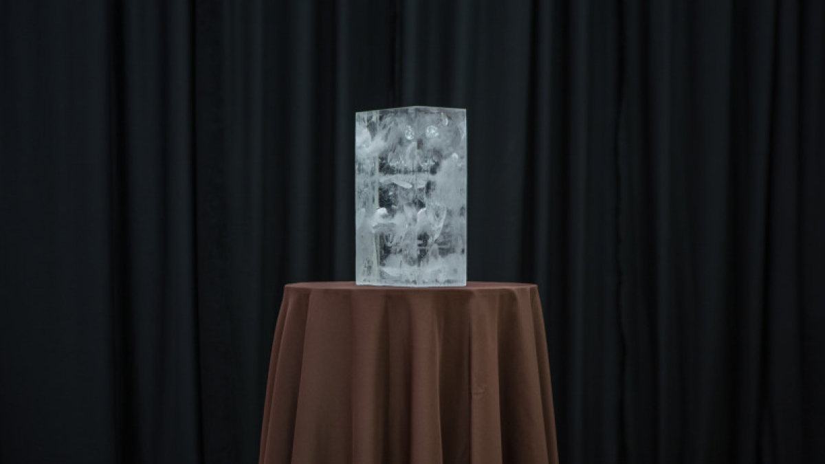 Yemenwed, ICE, 2014