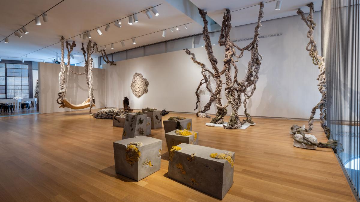 Dana Barnes: Untamed Gestures at the Museum of Arts and Design.