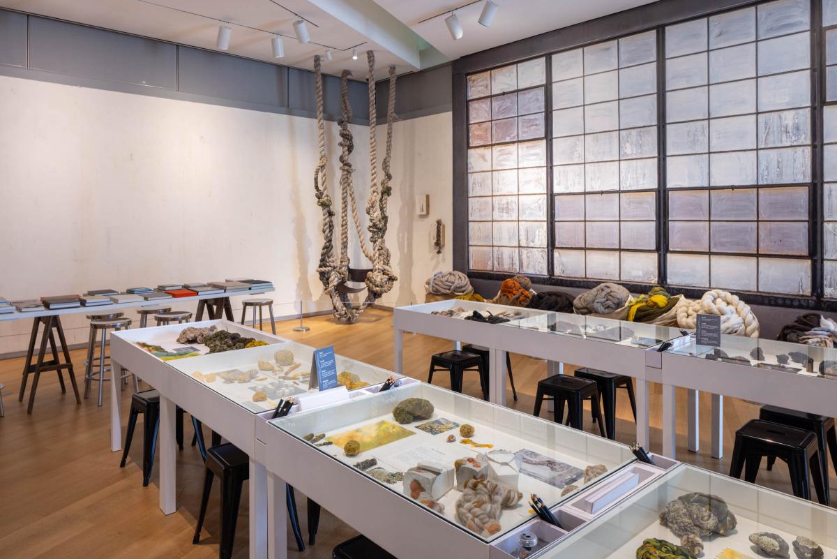 Dana Barnes: Untamed Gestures at the Museum of Arts and Design. 