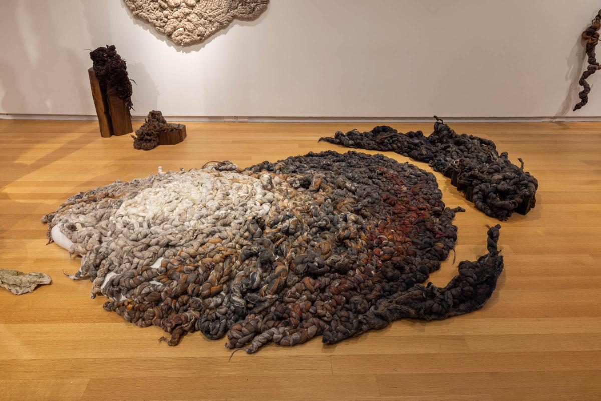 Dana Barnes: Untamed Gestures at the Museum of Arts and Design. 