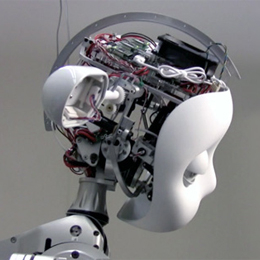 Simon Humanoid Robot, 2009: Mechanical design and photo credit: Meka Robotics 